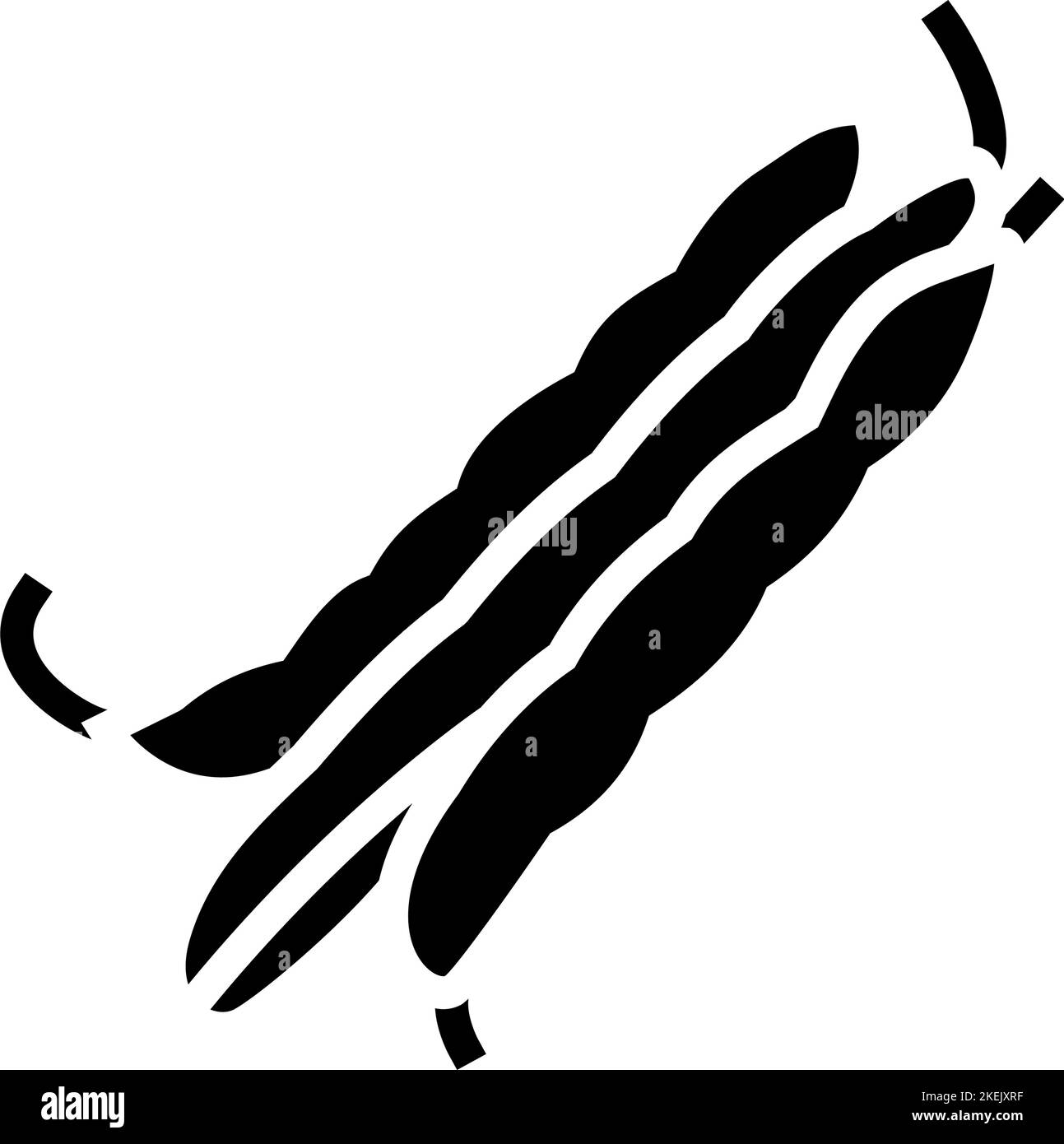 green bean fresh glyph icon vector illustration Stock Vector Image