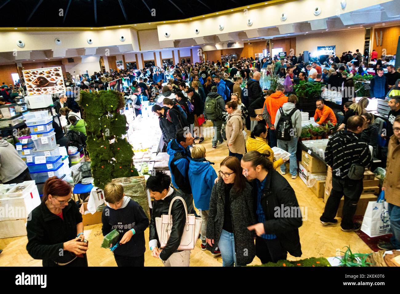 Exhibition of exotic plants, insects, terrarium animals and accessories ...