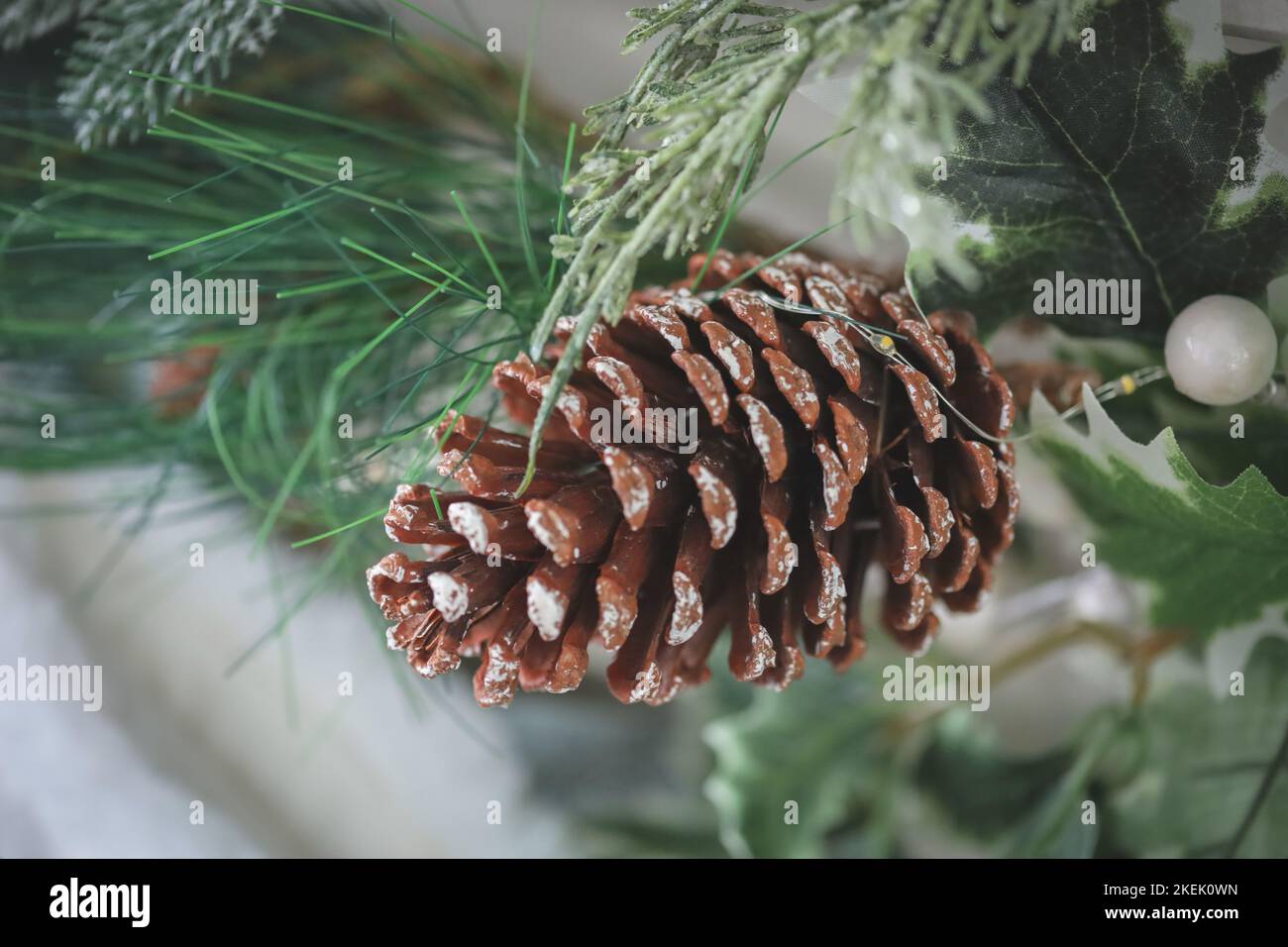 Merry christmas family pine hi-res stock photography and images - Alamy