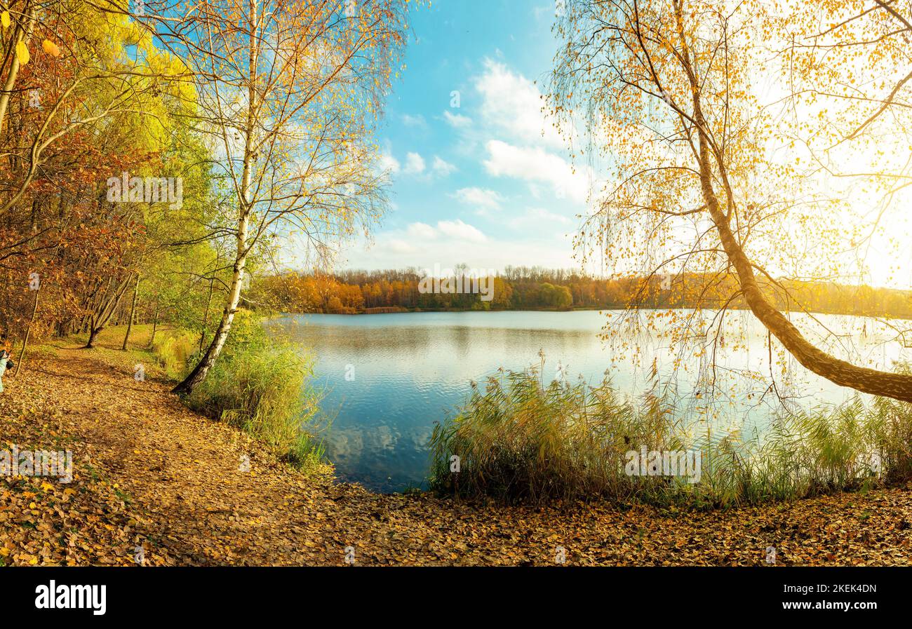 Lake in parga in Katowice in autumn Stock Photo