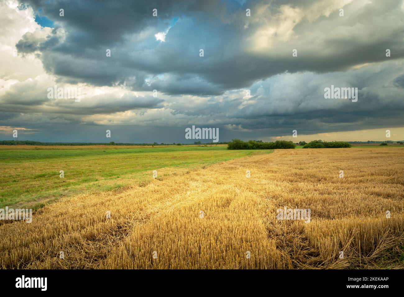 Cloudy sky over a stubble field, picturesque eastern Poland, summer day Stock Photo