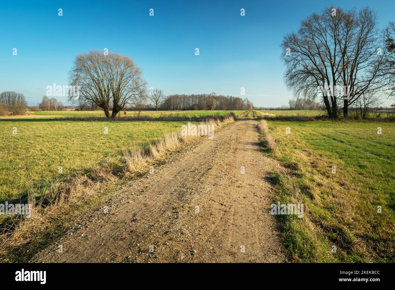Unpaved road between green meadows and trees, picturesque eastern Poland Stock Photo
