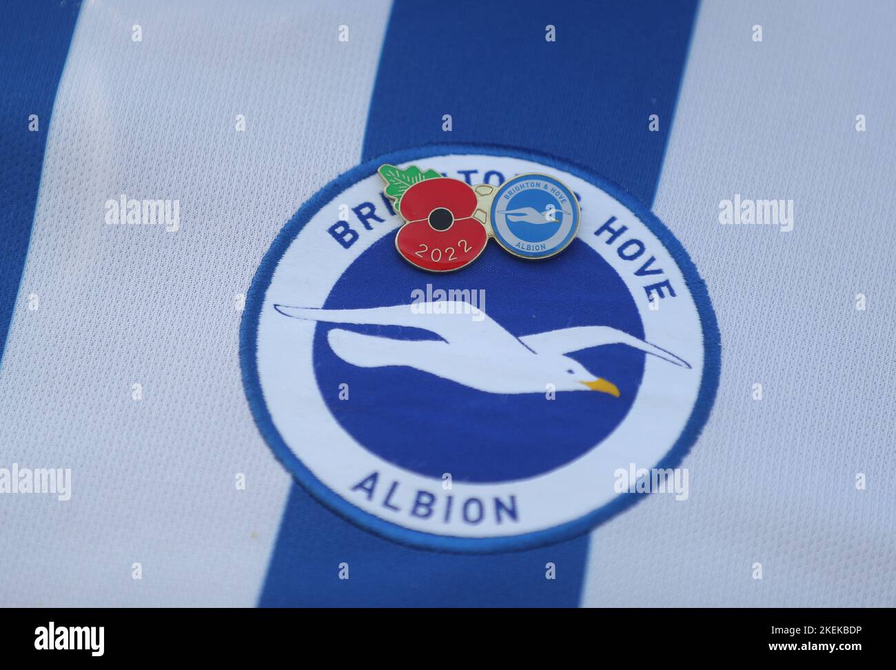 Brighton and Hove, UK. 13th Nov, 2022. A Brighton fan wears a Poppy above the club crest during the Premier League match at the AMEX Stadium, Brighton and Hove. Picture credit should read: Paul Terry/Sportimage Credit: Sportimage/Alamy Live News Stock Photo