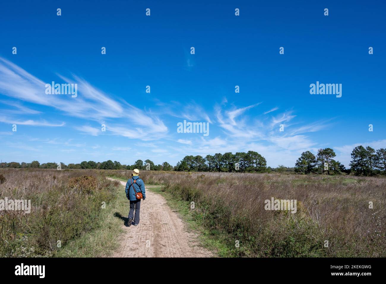 Location A woman walking on the trail at the Katy Prairie Conservancy Indiangrass Preserve. Houston, Texas, USA. Stock Photo