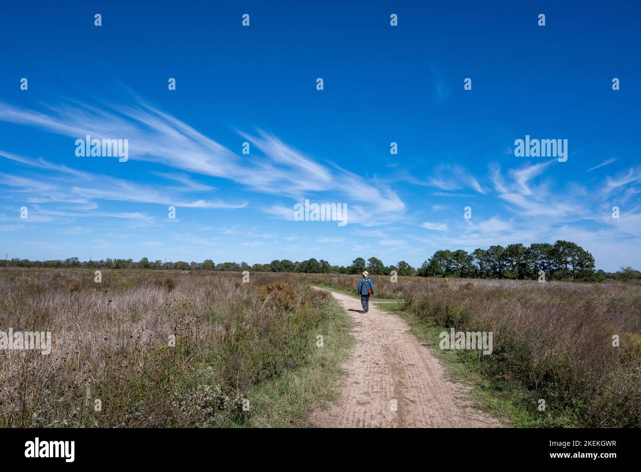 Location A hiker walking on the trail at the Katy Prairie Conservancy Indiangrass Preserve. Houston, Texas, USA. Stock Photo