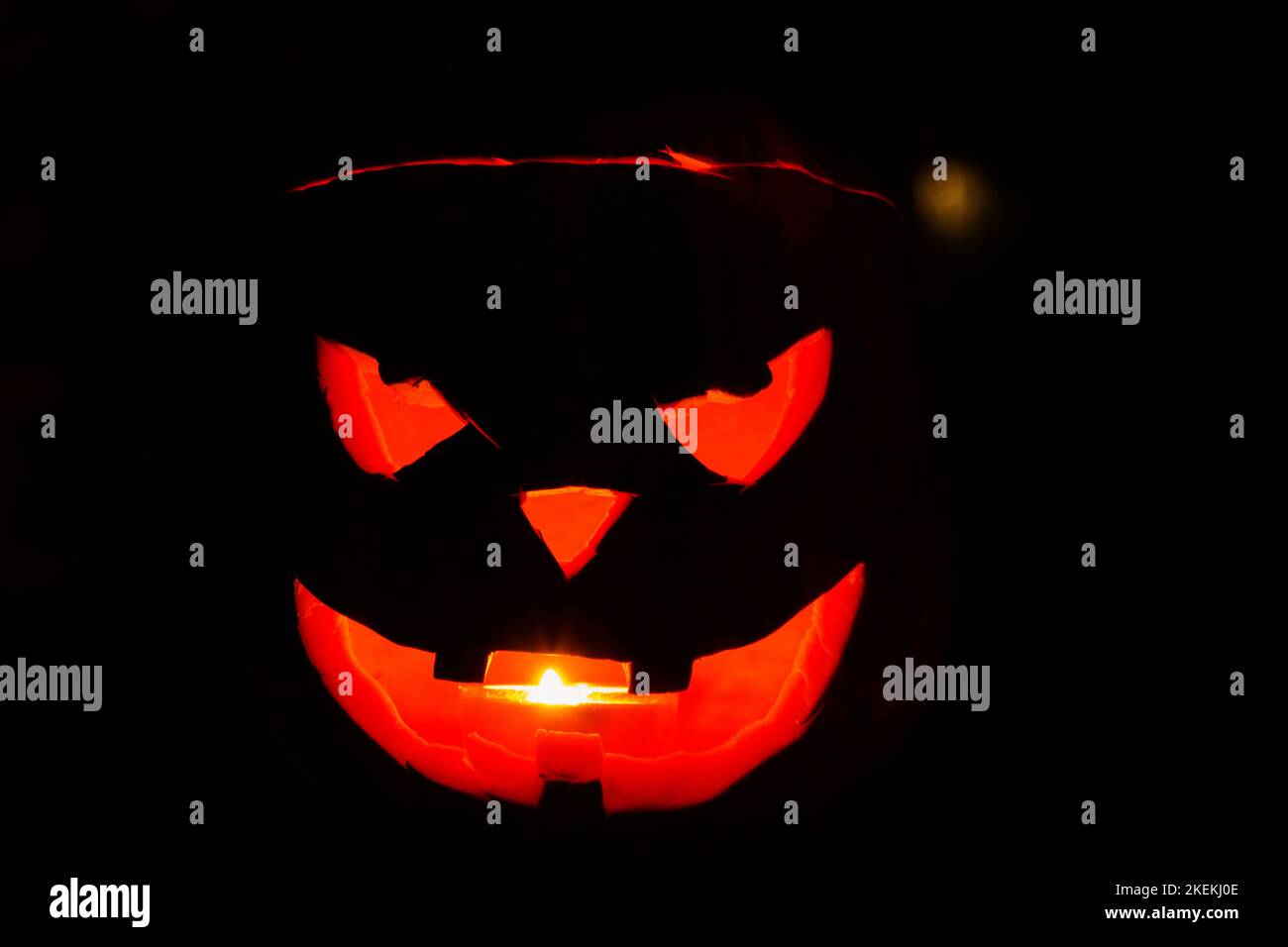 Festive carved pumpkin head glowing in the dark. Stock Photo