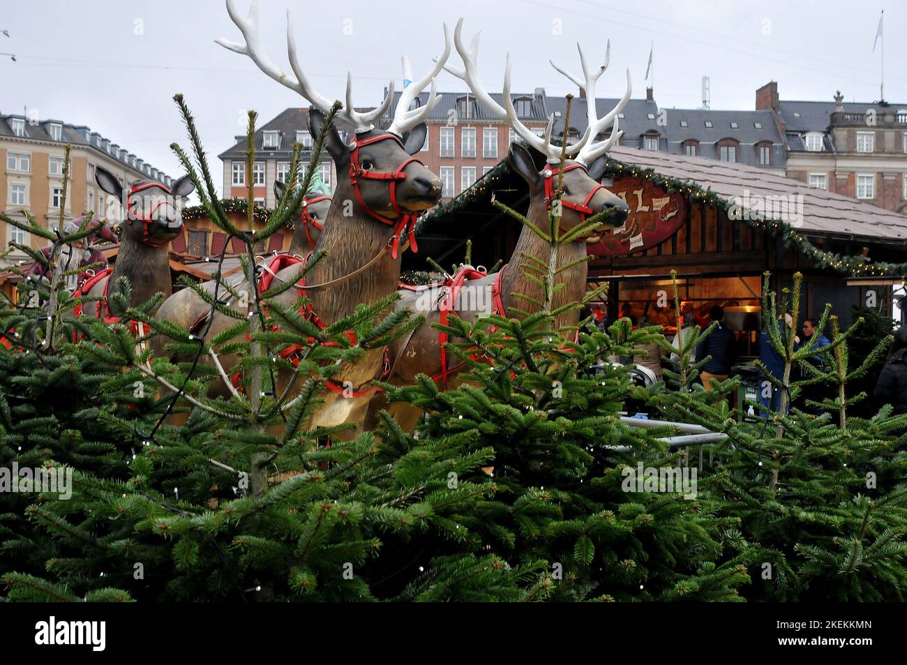 Denmark In November Copenhagen/Denmark/13 November 2022/ Copenhagen christmas market at ...