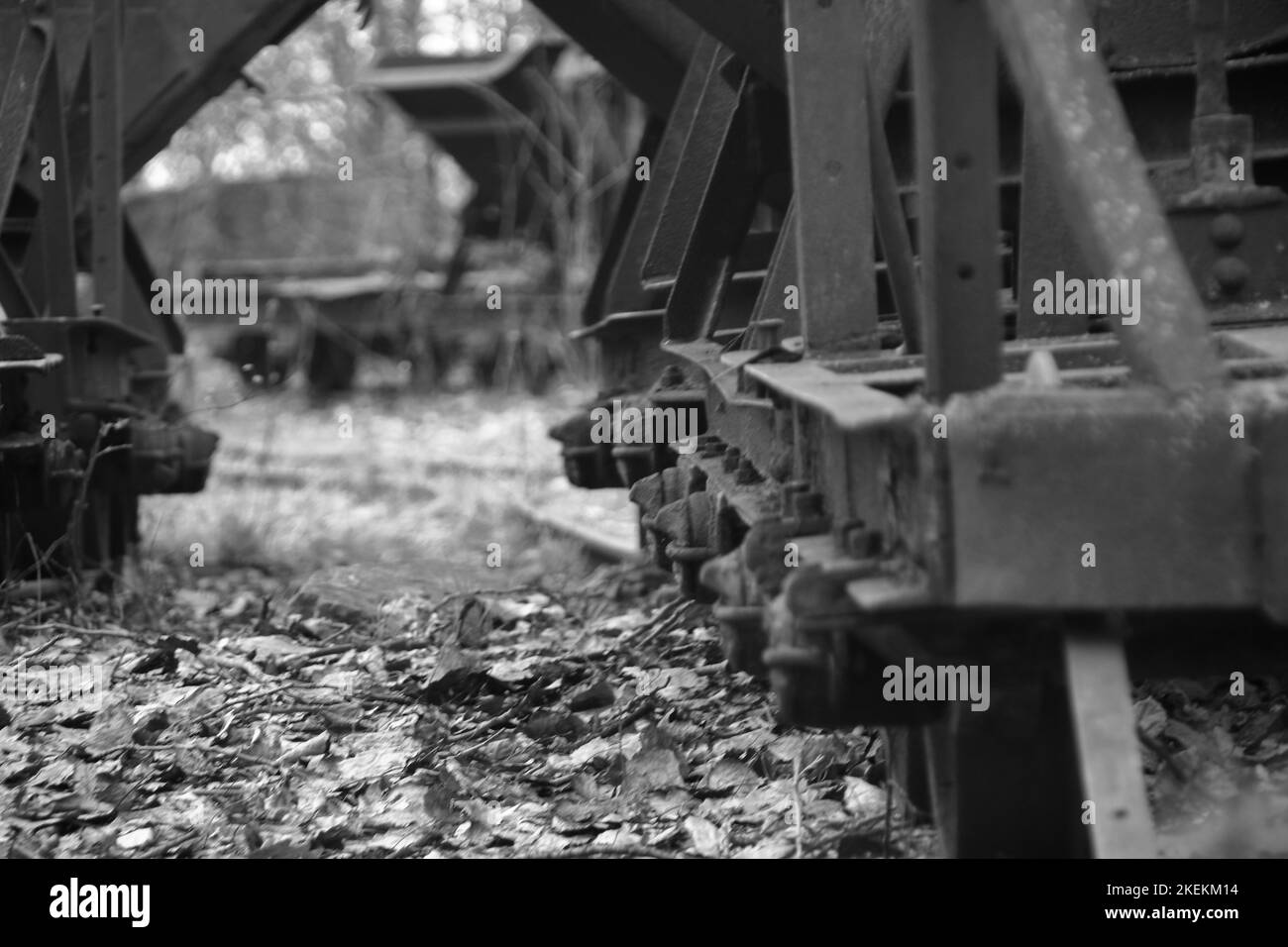 A grayscale of rustic metal train trailers on a junk yard Stock Photo