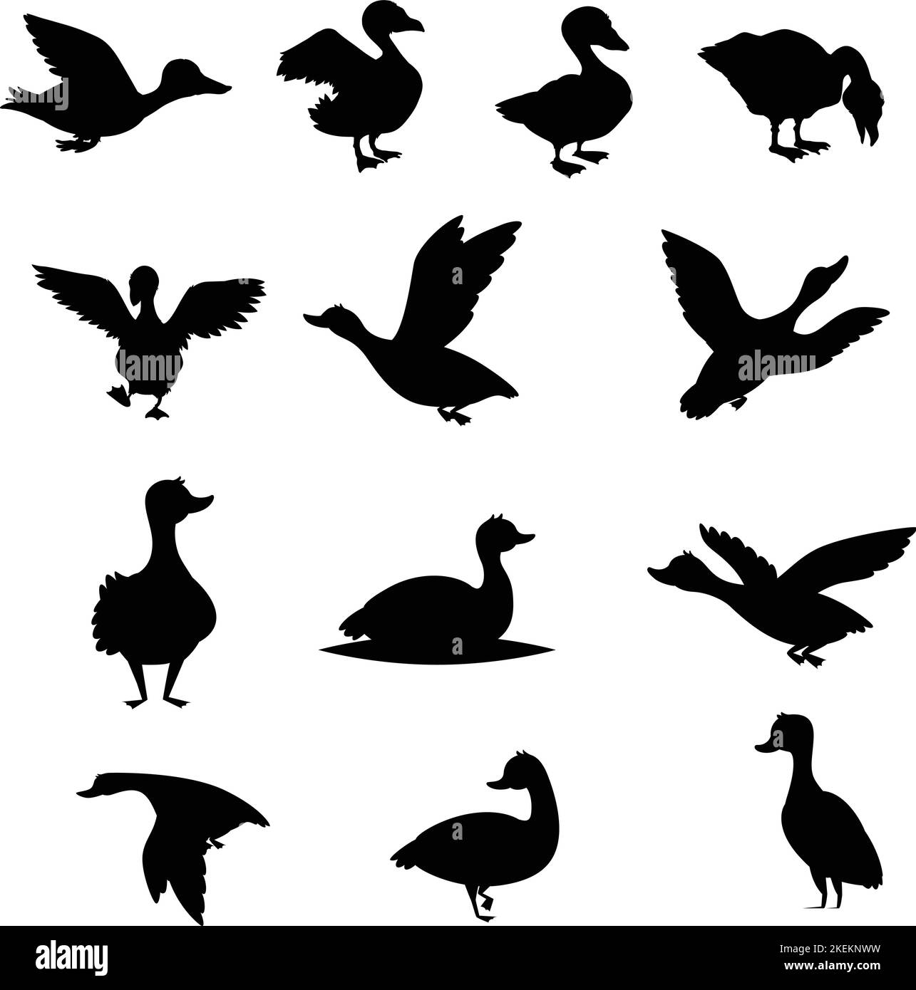 A vector illustration set black duck symbols in various shapes on white