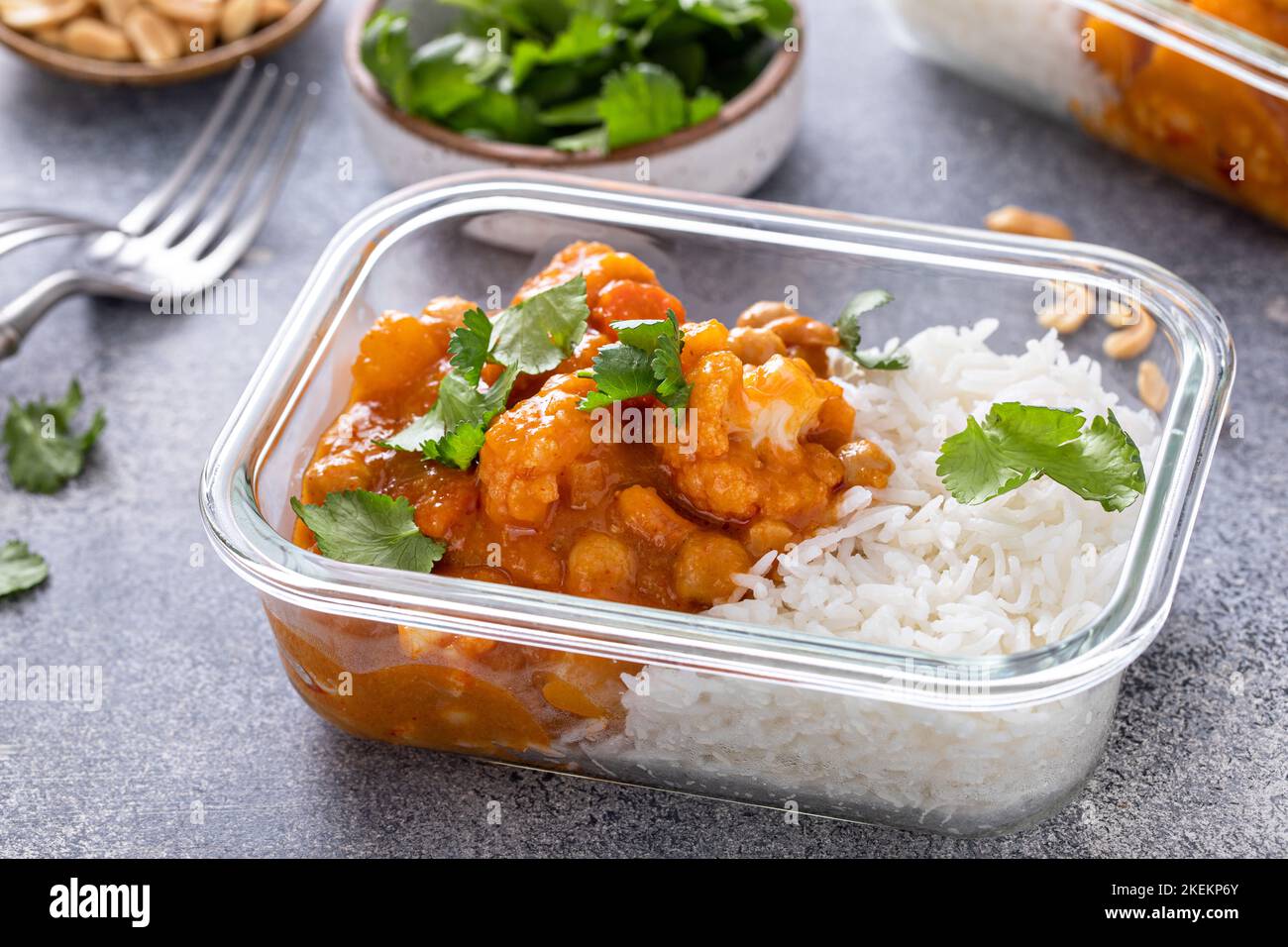 Vegan meal prep idea vegetable and chickpeas curry with rice Stock