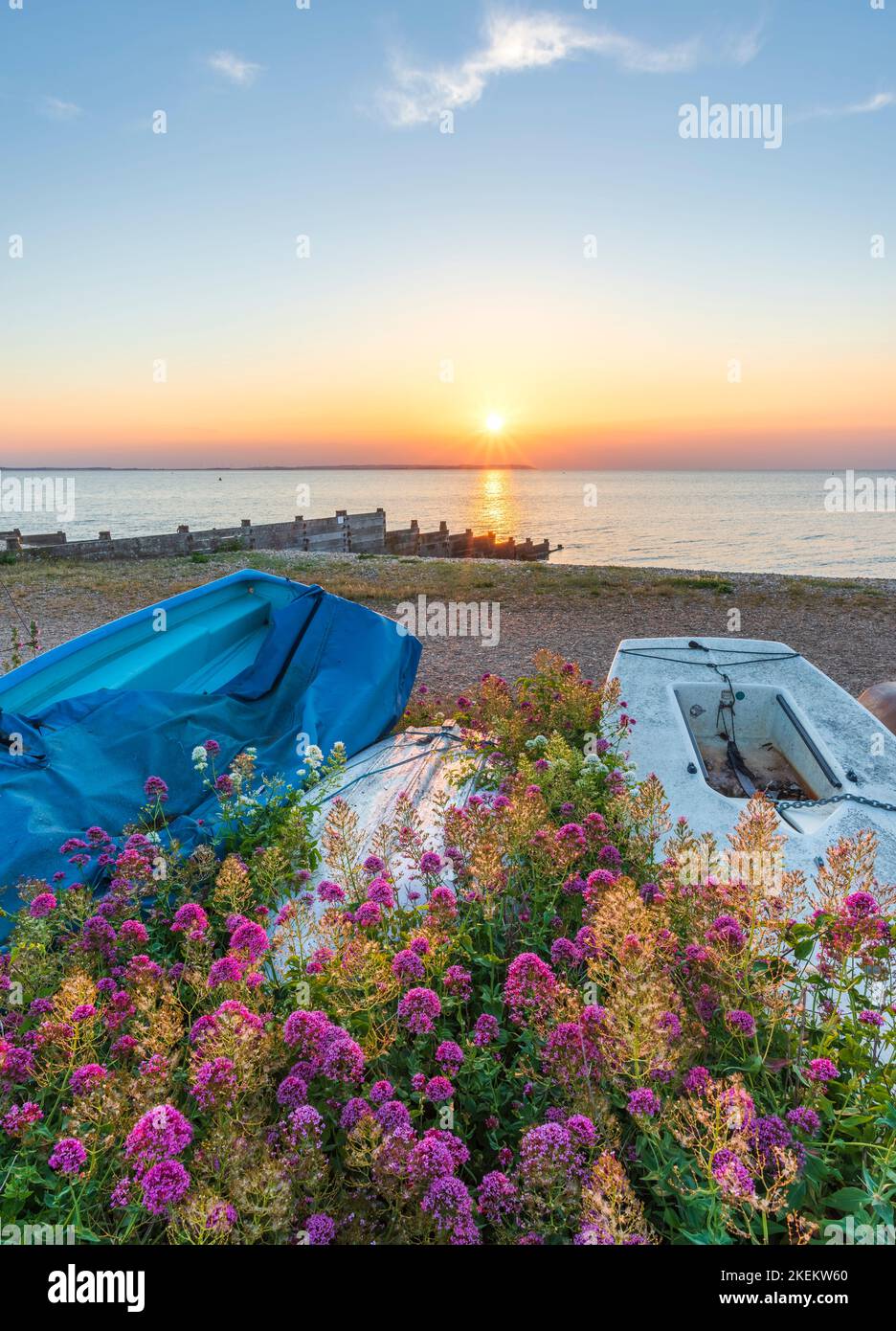 Boats and wildflowers at sunset on the beach. Whitstable, Kent Stock Photo