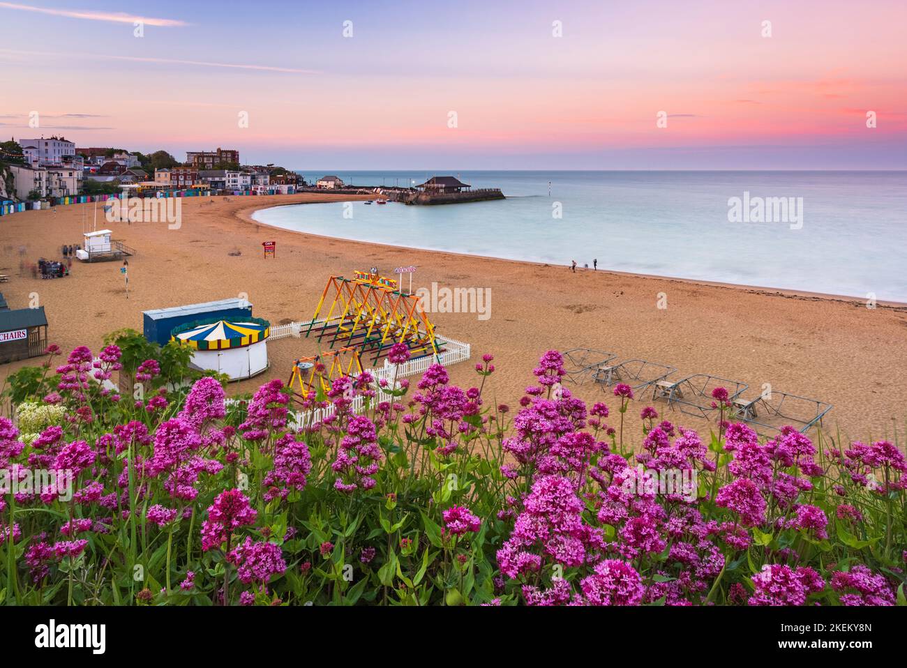 Wildflowers atop the cliffs on the Thanet coast at Viking Bay, Broadstairs Stock Photo