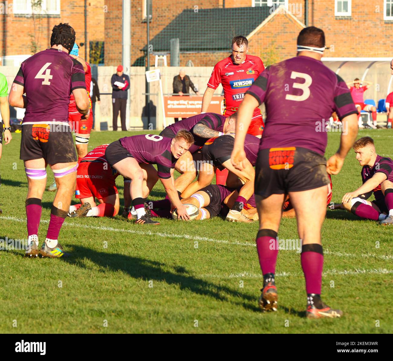 12.11.2022   Leicester, England. Rugby Union.                   James Stubbs in action for Lions during the National League 2 West, round 10, match played between Leicester Lions (31) and Redruth rfc (15) at Westleigh Park, Blaby, Leicester.  © Phil Hutchinson Stock Photo