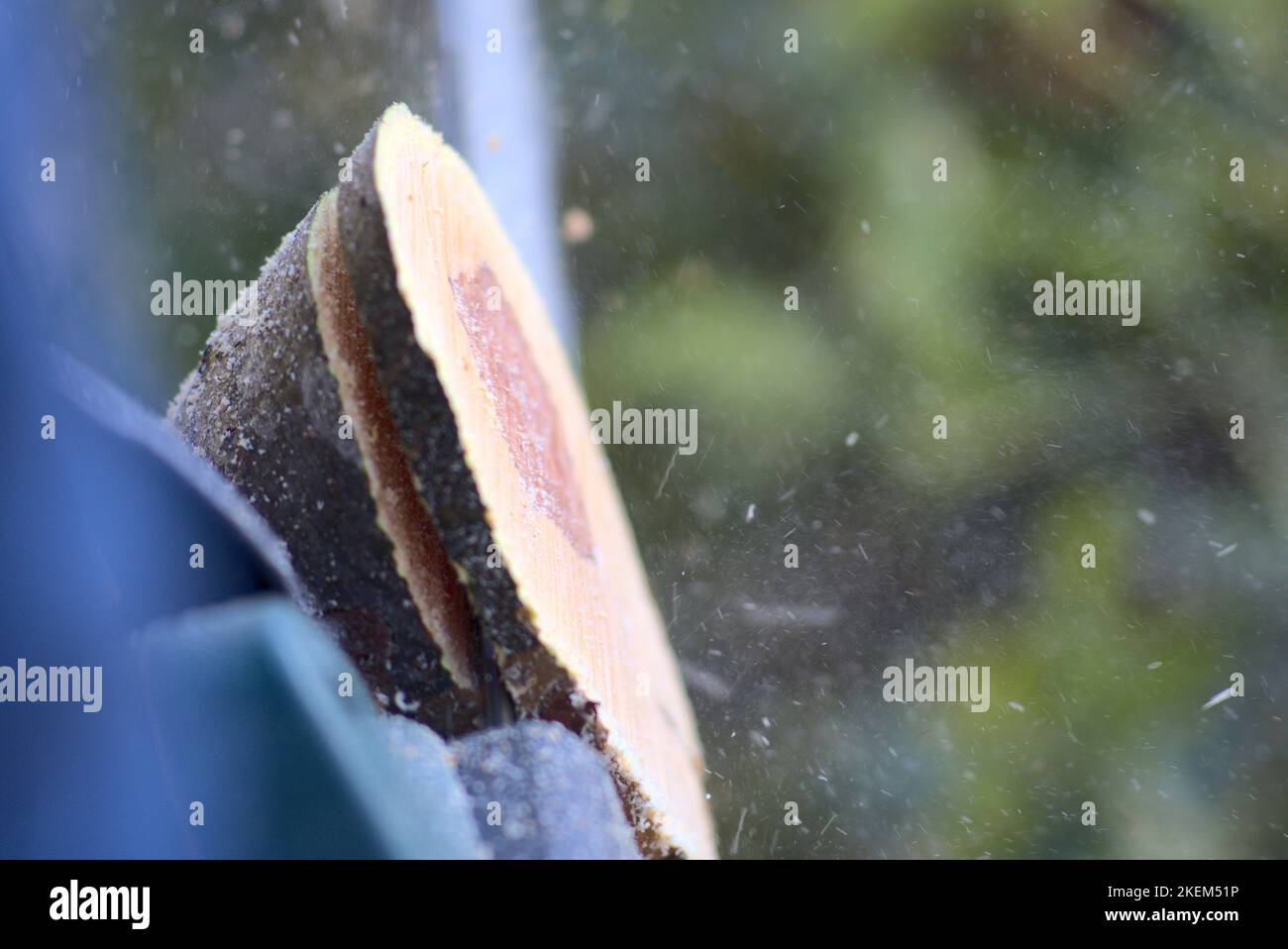 Apple tree cut down hi-res stock photography and images - Alamy