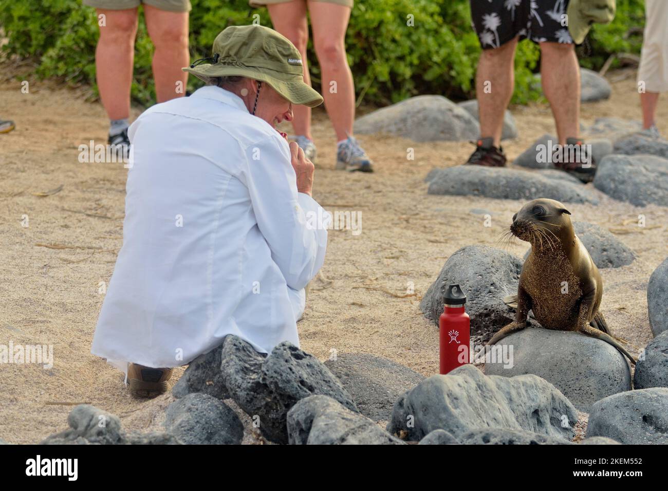 Galapagos tourist interacting with a fearless Galapagos sea lion
