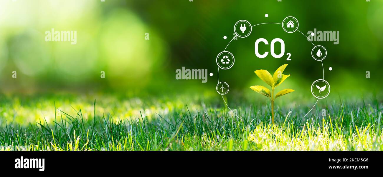 Carbon dioxide, CO2 emissions, carbon footprint concept Stock Photo