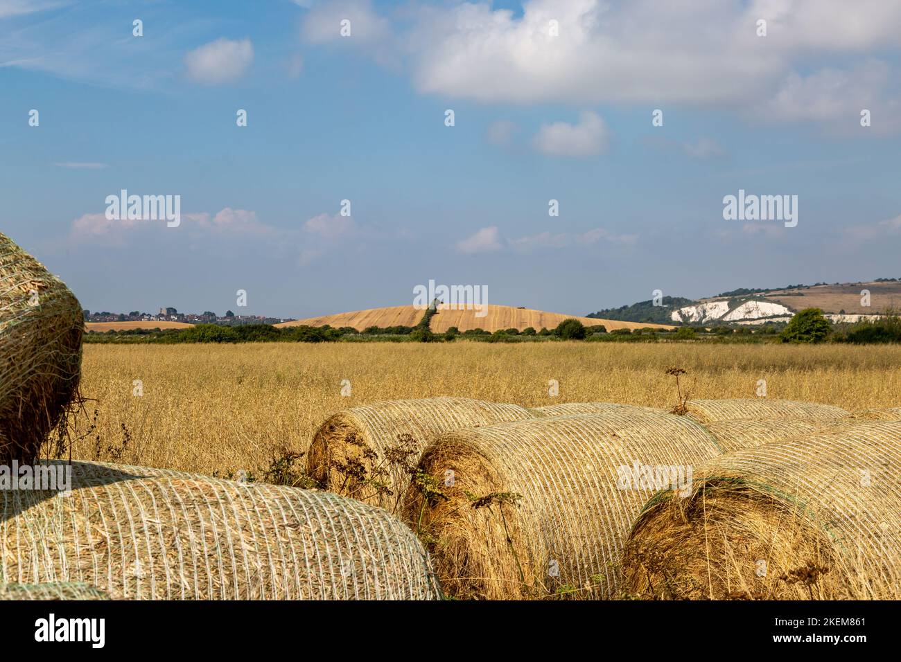 Hay bales in the Sussex countryside on a sunny summer's day Stock Photo ...