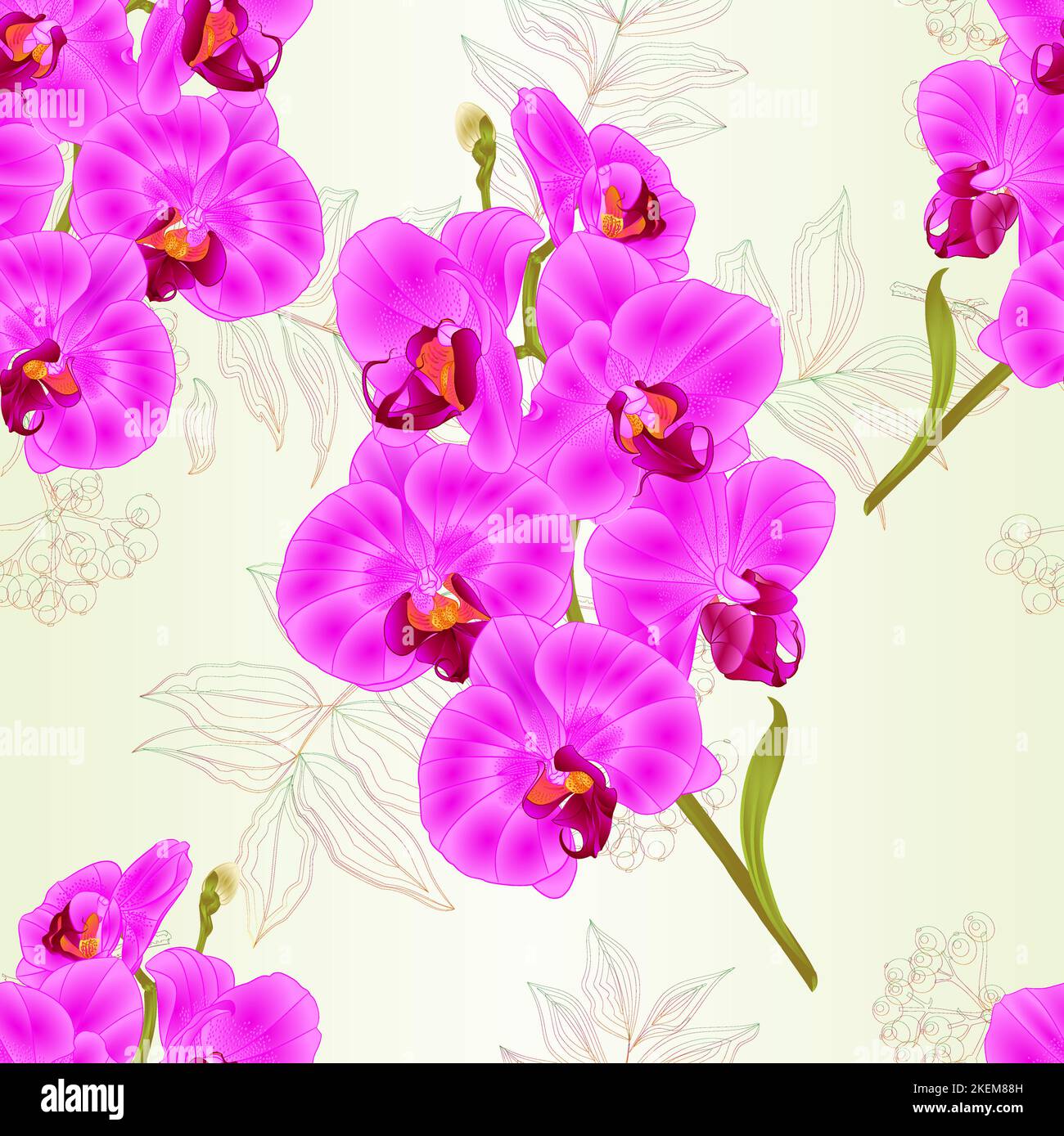 Seamless Texture Branch Orchid Phalaenopsis Purple Flowers And Leaves