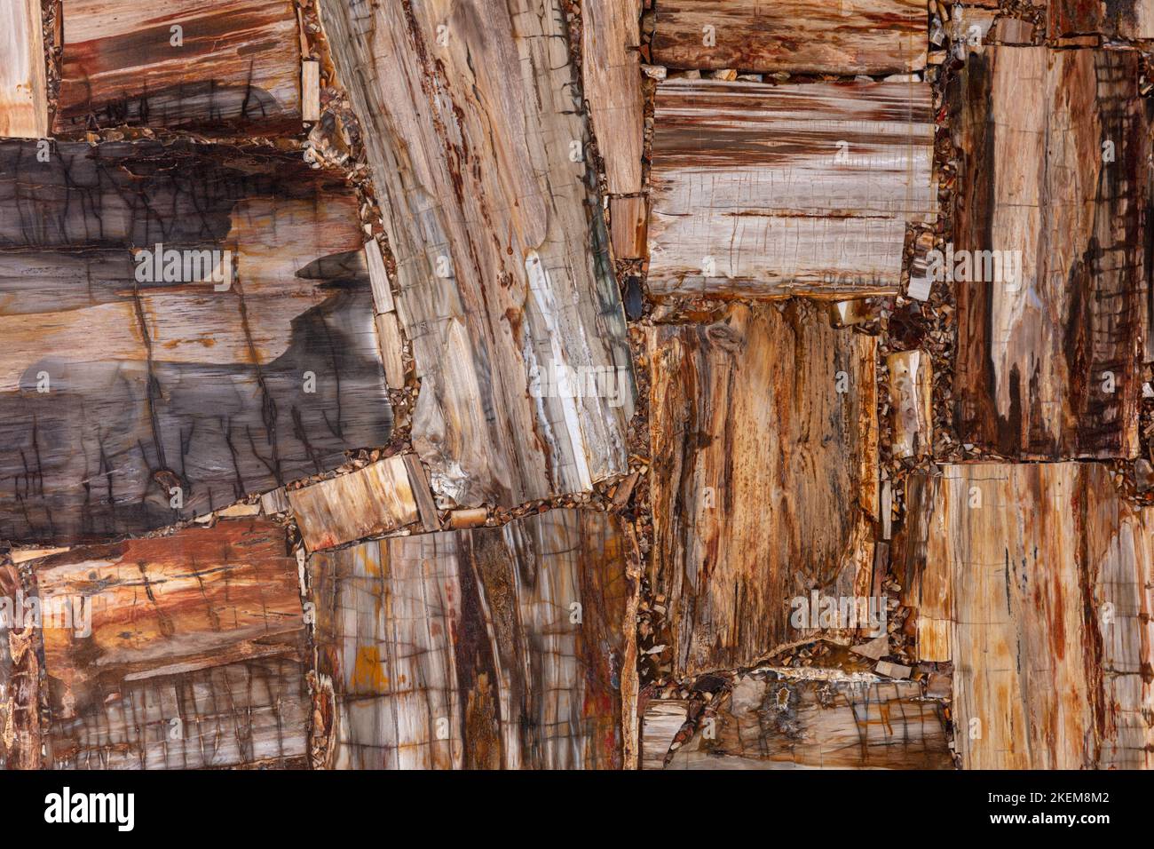 Petrified wood texture. Semi precious pattern. Exclusive luxury gemstone background. Material for unique interior, exterior design decoration. Brown Stock Photo
