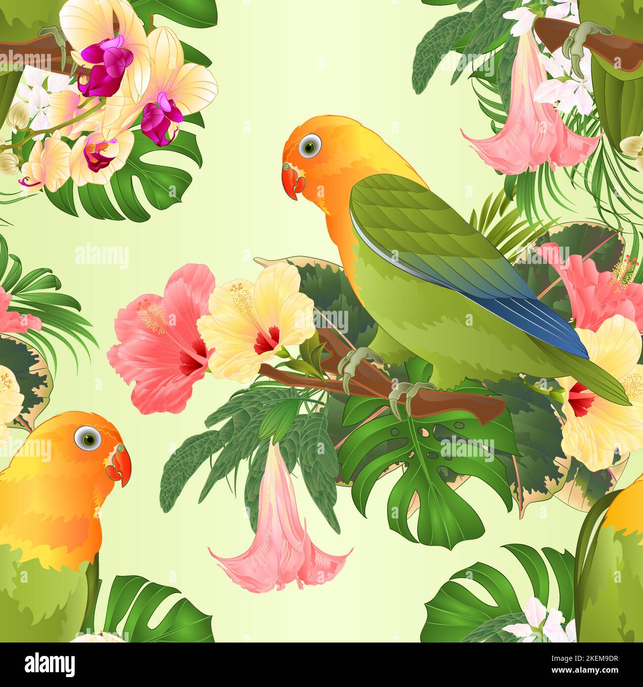 Parrot Textured Seamless texture Parrots lovebird Agapornis tropical birds standing on ...