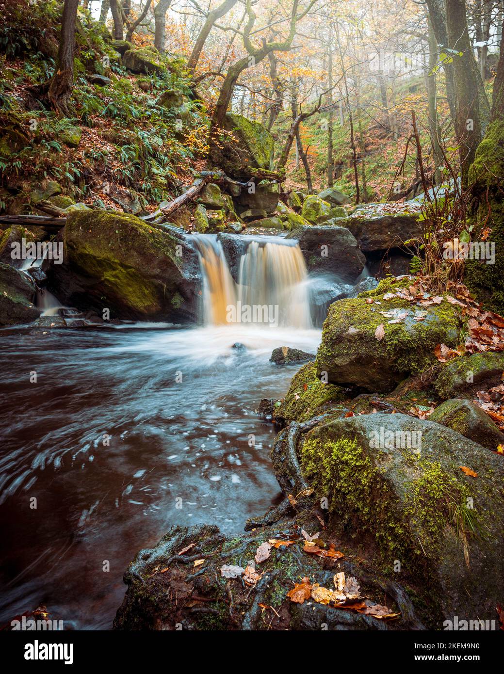 A waterfall in Padley Gorge, taken on a misty autumn morning. Stock Photo