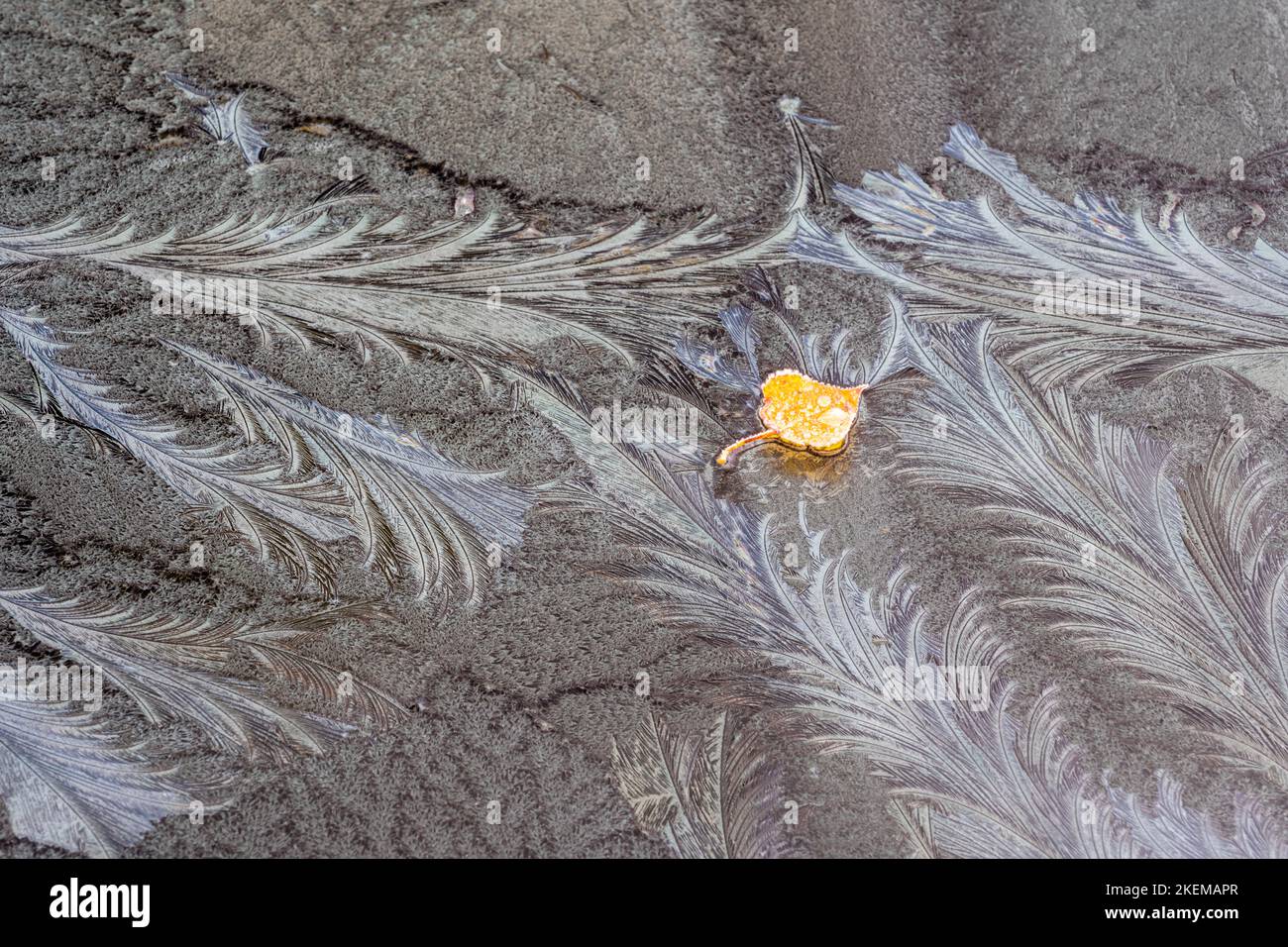 Frost patterns on a car windshield, Greater Sudbury, Ontario, Canada Stock Photo Alamy