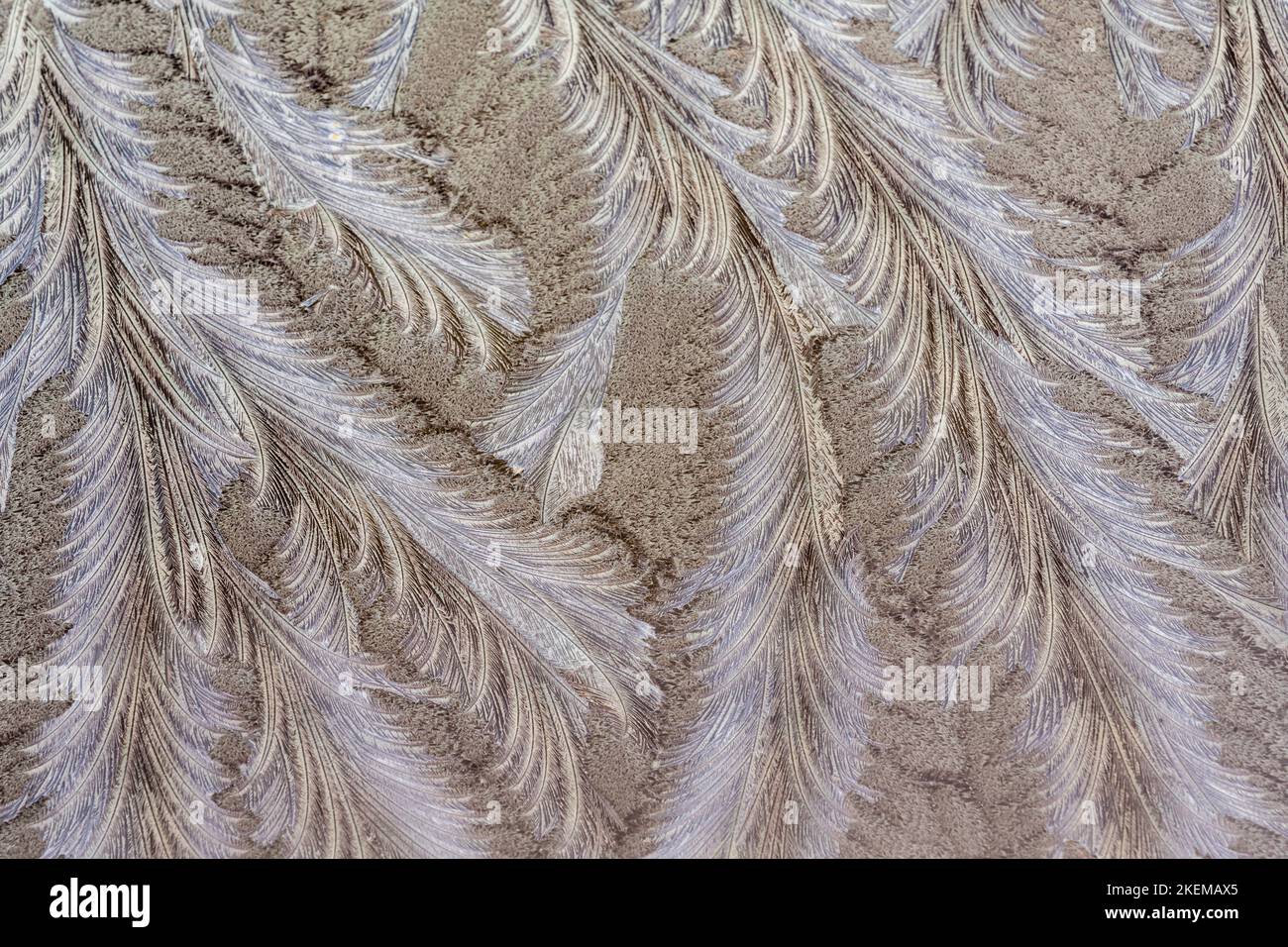 Frost patterns on a car windshield, Greater Sudbury, Ontario, Canada Stock Photo Alamy
