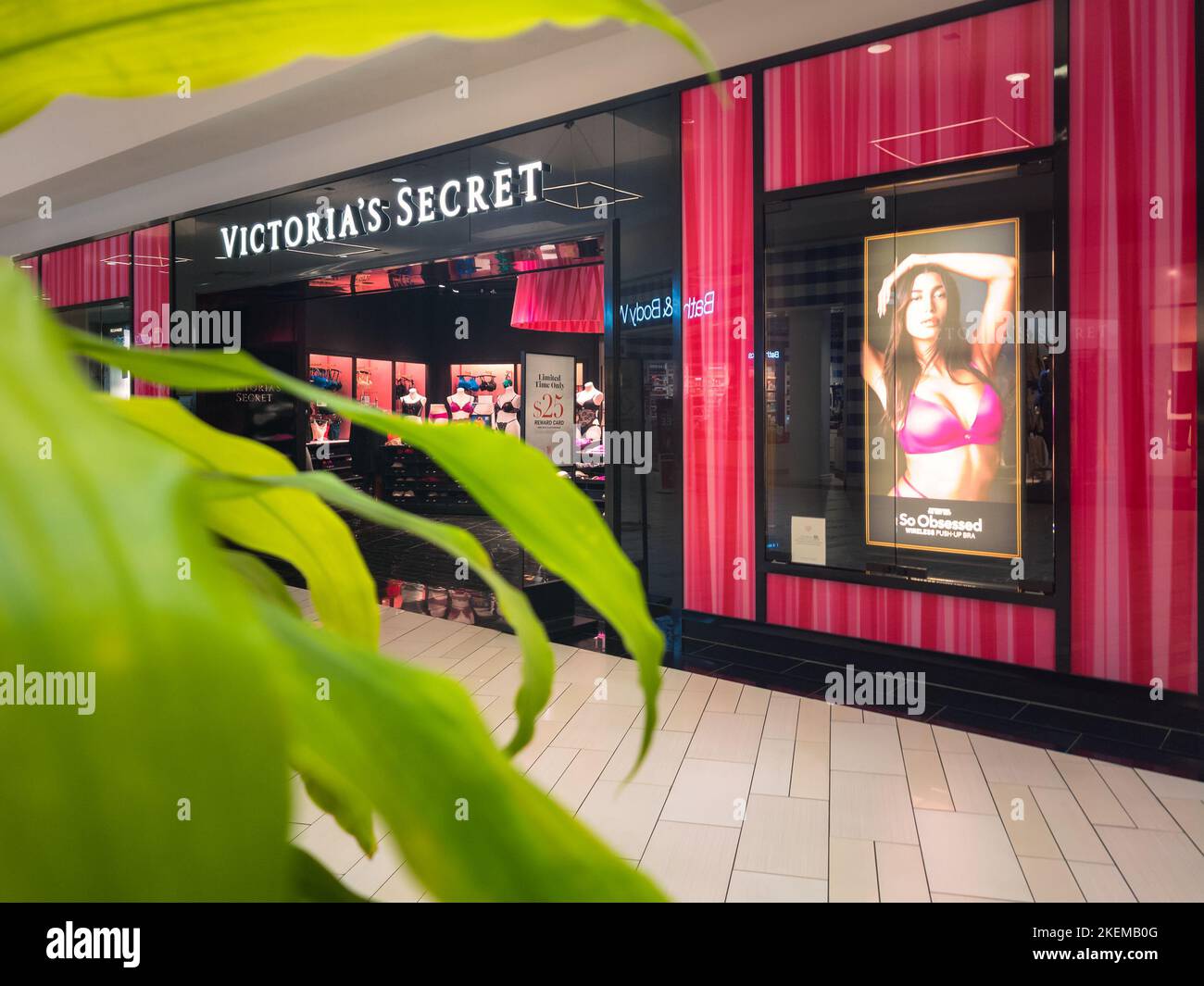 Pink Striped Victorias Secret Shopping Bag Stock Photo - Download