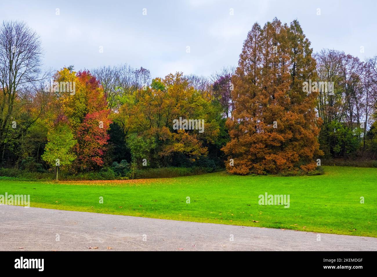 autumn season warm sunlight with colorful trees and leaves Stock Photo ...