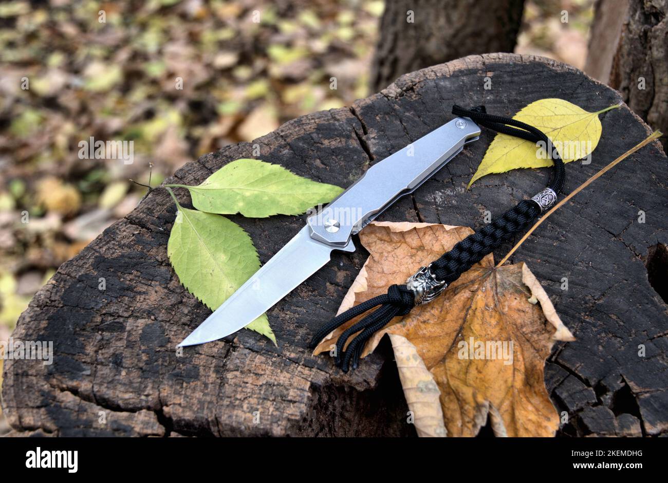 Folding knife cutting stainless steel blade gray titanium handle black