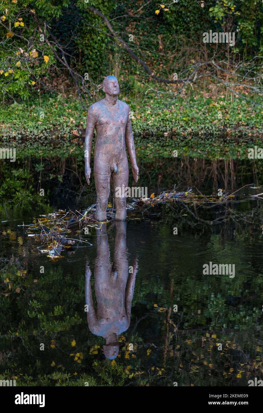 Anthony Gormley naked man statue reflected in Water of Leith river, Edinburgh, Scotland, UK Stock Photo