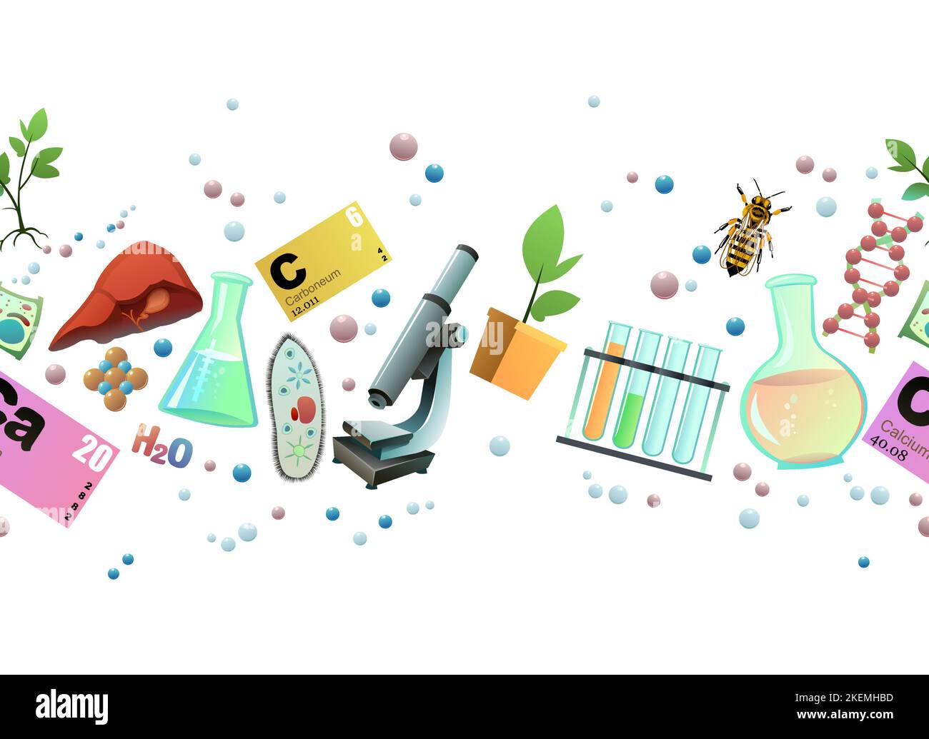 Chemistry seamless horizontal. Cartoon style. Science items picture. Study of living cells of plants, animals and humans. Isolated on white background Stock Vector