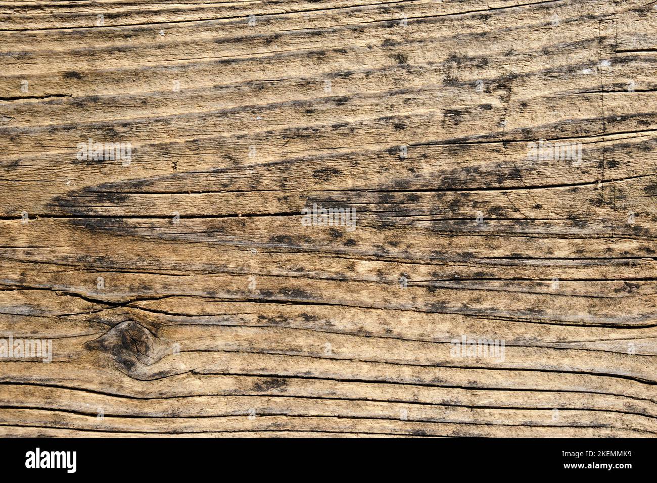 Weathered wooden board with beautiful grain, background. Stock Photo