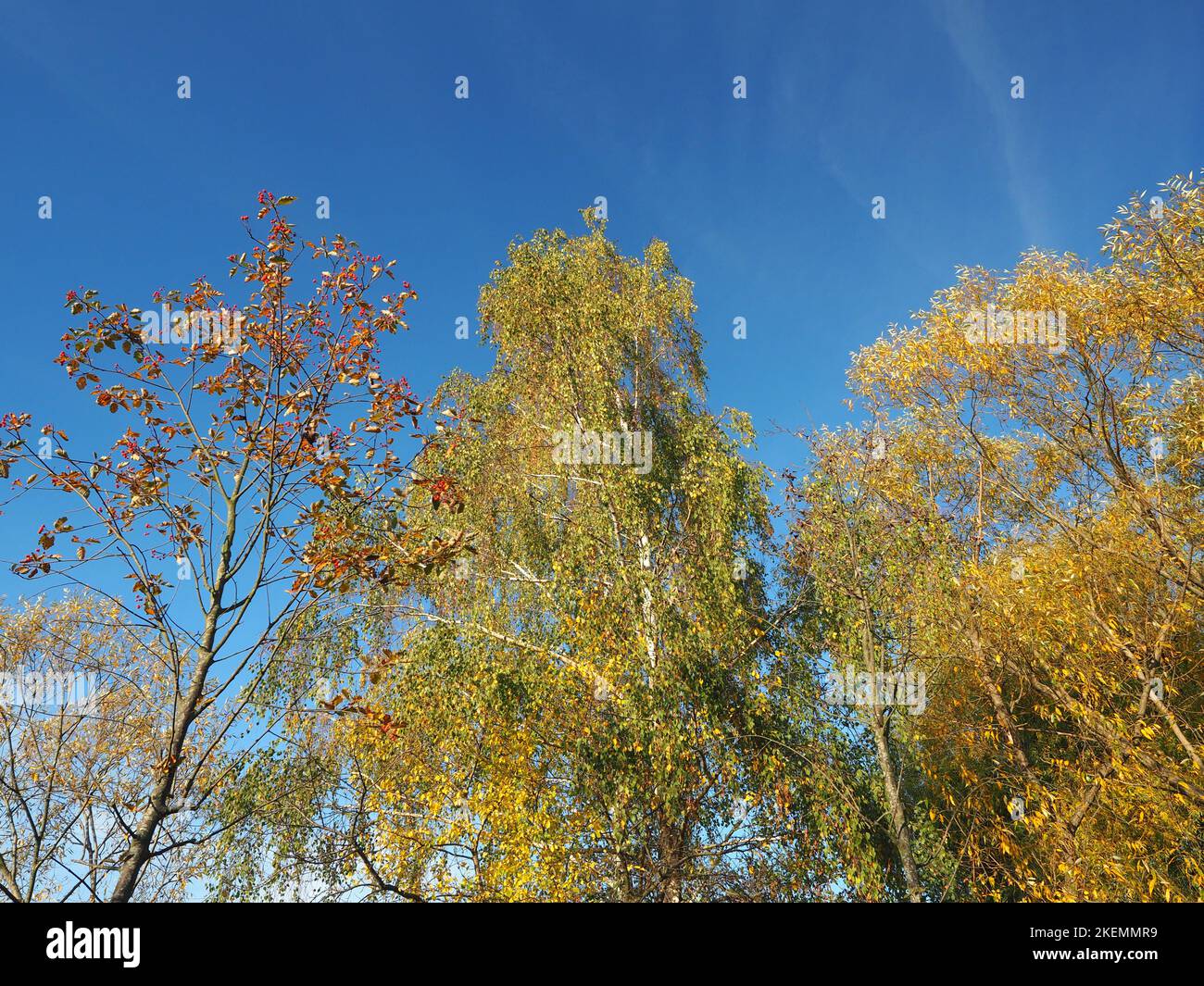 Beautiful city public park in autumn Stock Photo - Alamy