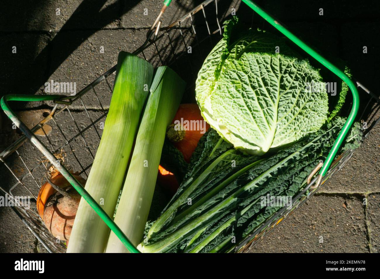 London, 12 November 2022: sunlight illuminates a shopping basket of fresh vegetables at Venn Street outdoor market in Clapham. Anna Watson/Alamy Stock Photo