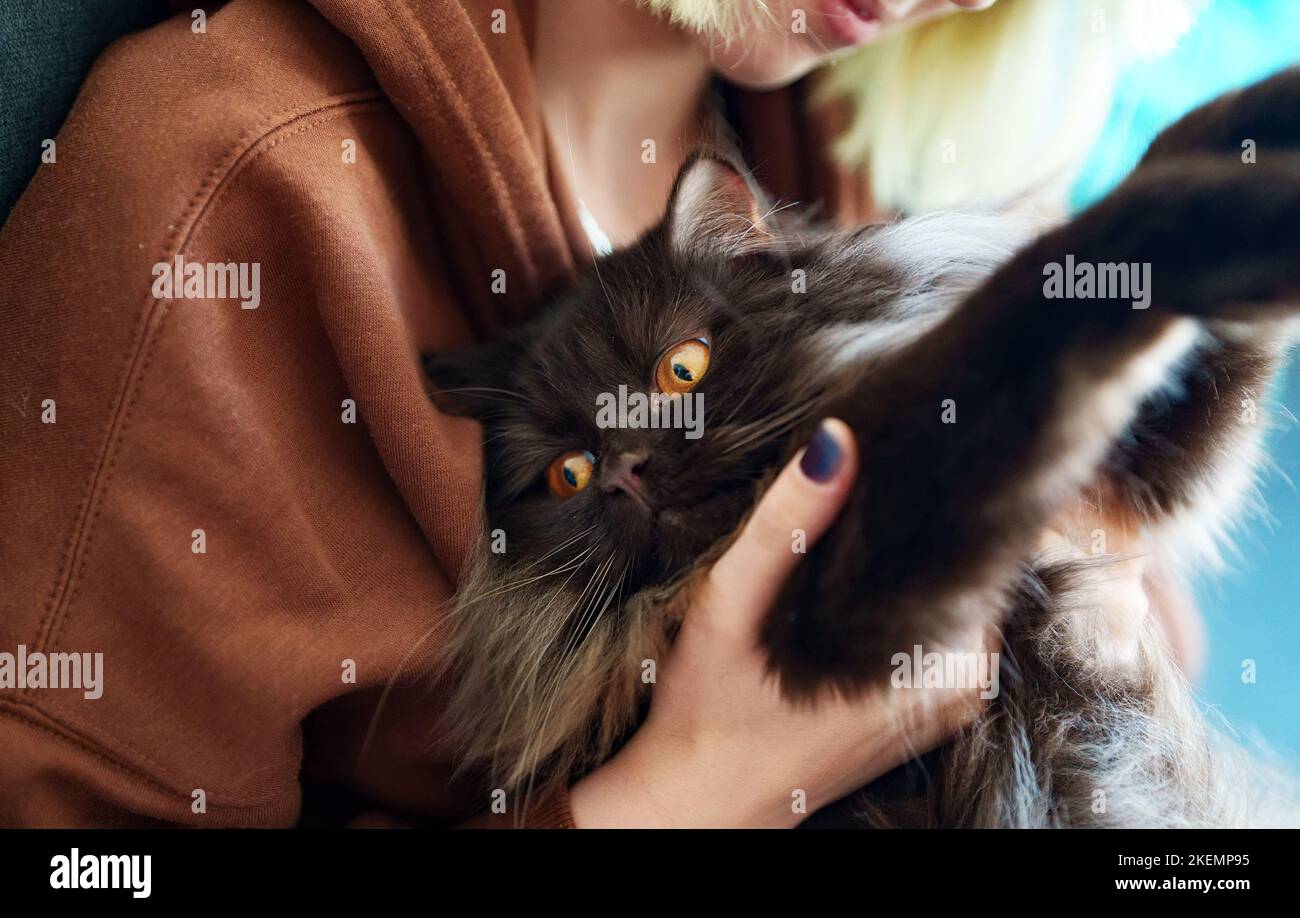 Teenage girl hugging cat at home. Stock Photo