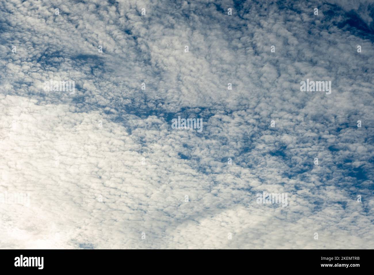 White clouds on a blue sky. Feather clouds in the sky, cloud background Stock Photo