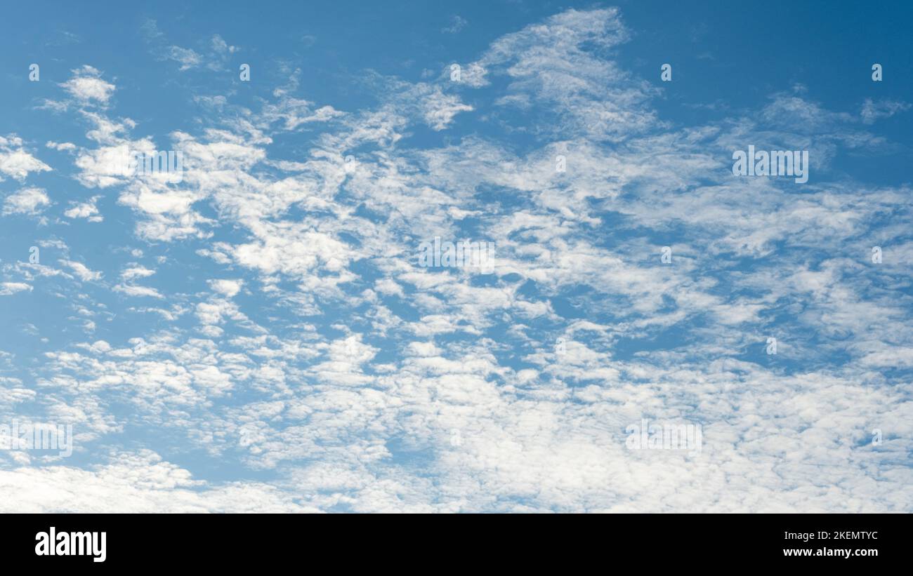 White clouds on a blue sky. Feather clouds in the sky, cloud background Stock Photo