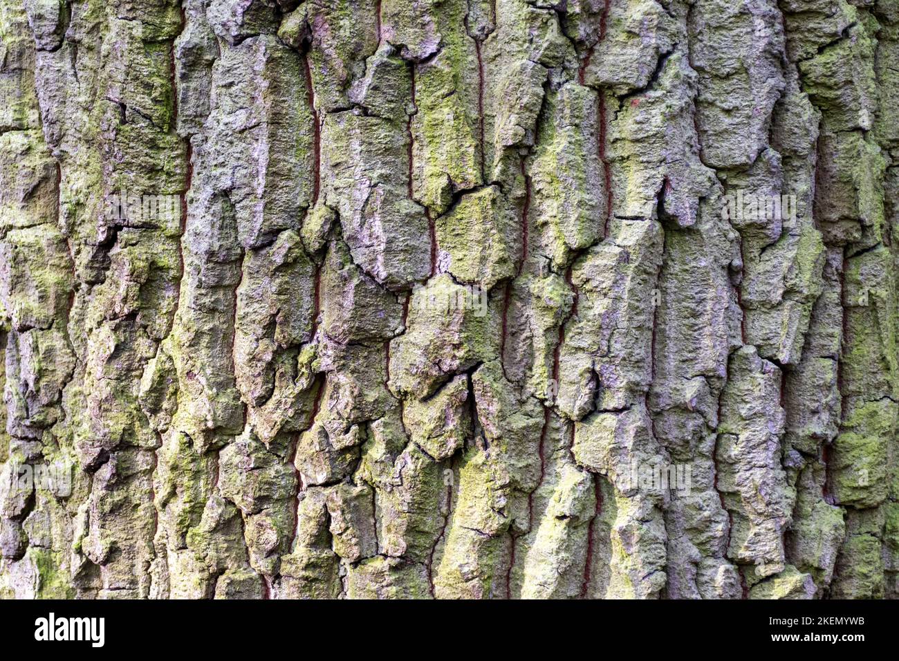 Wood chock hi-res stock photography and images - Alamy