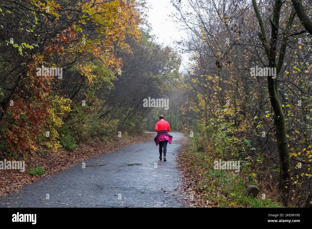 Walking forest woman alone hi-res stock photography and images - Alamy