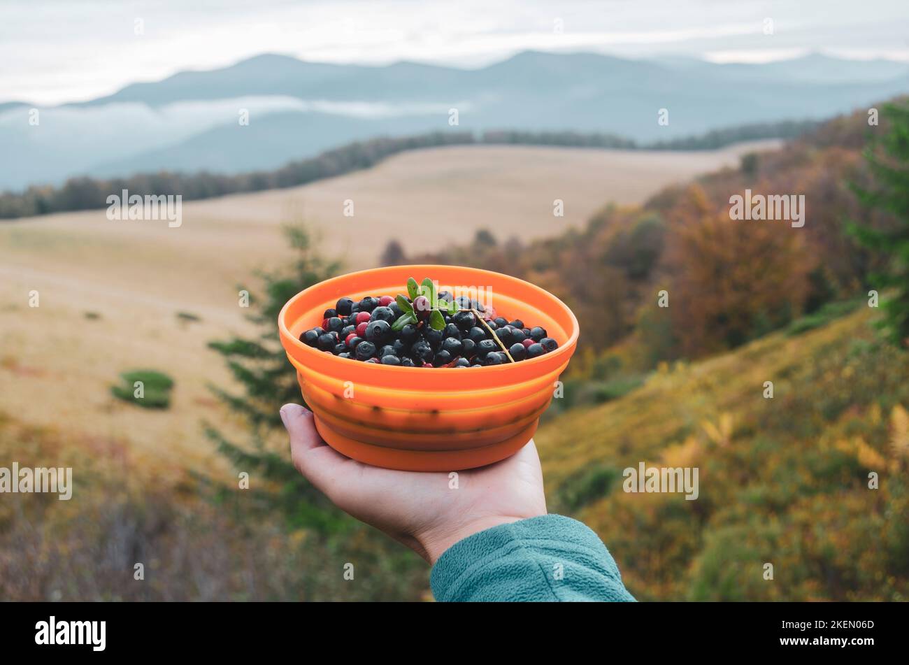 Wildberries Mobile Stock Photos - Free & Royalty-Free Stock Photos from  Dreamstime