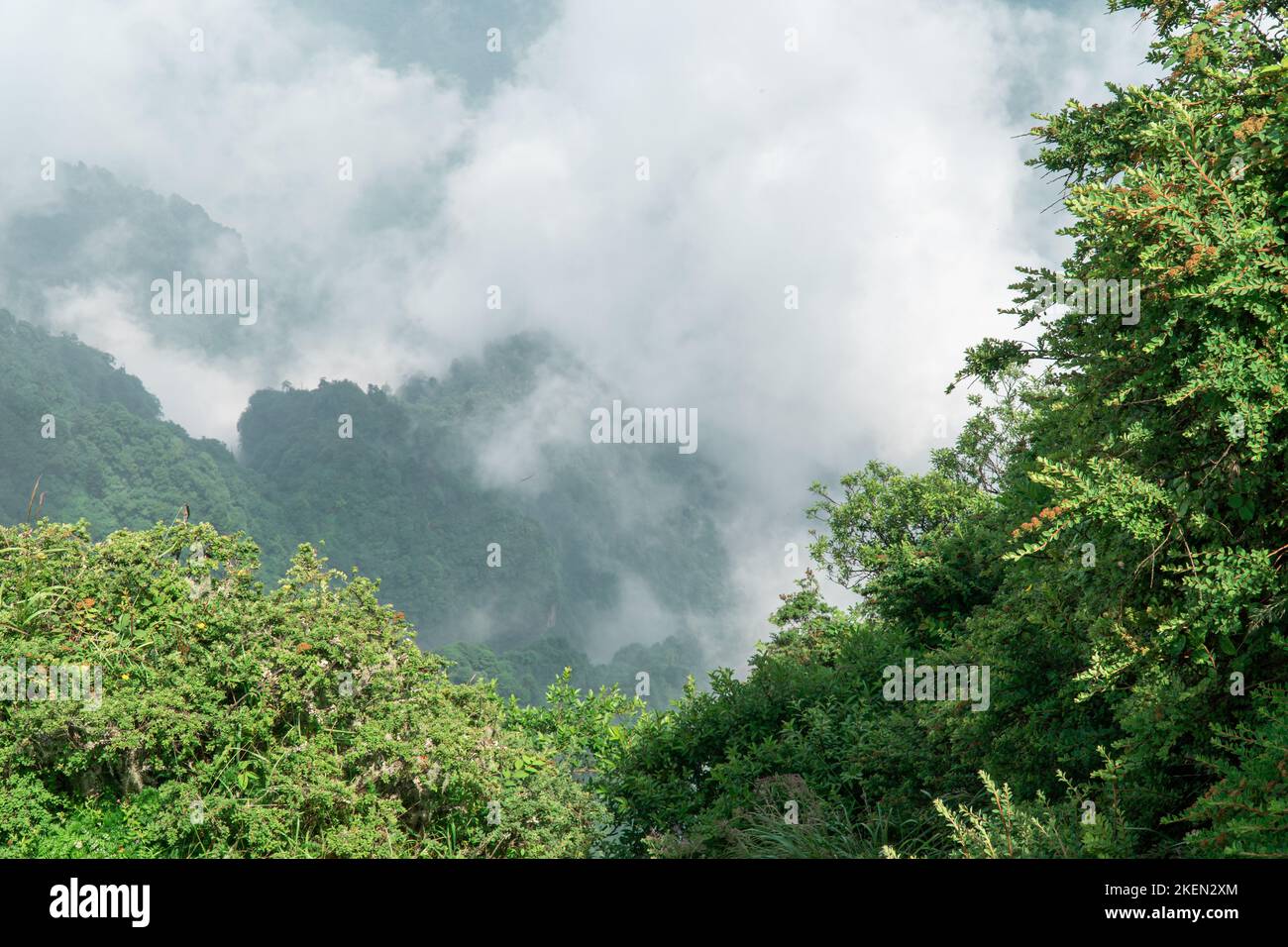 The clouds over a mountainous forest Stock Photo - Alamy
