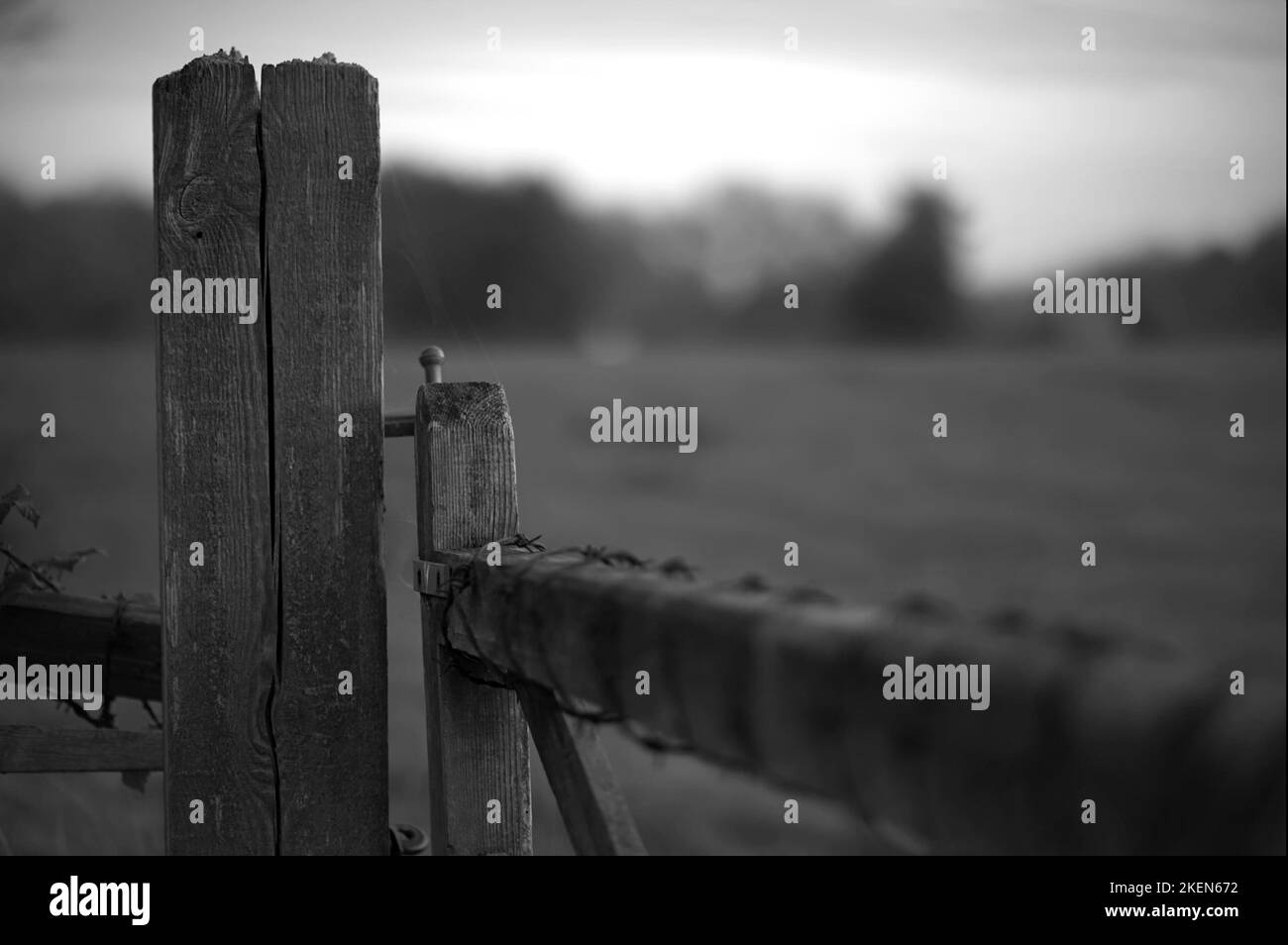 Monochrome wooden gate to field with wrapped wire Stock Photo