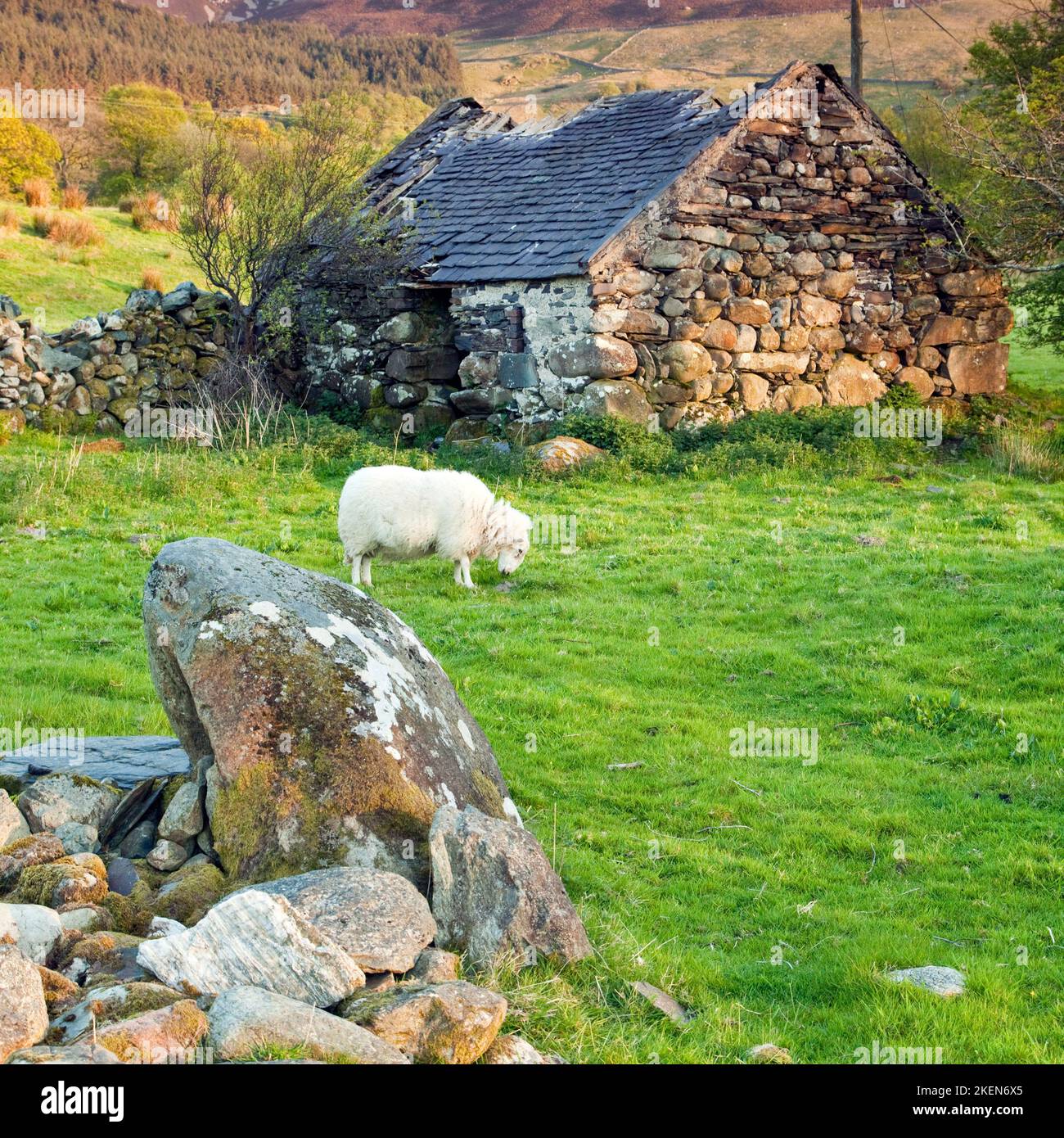 Scenic Farmland Bryn Gloch Farm, Betws Garmon, in the Nant y Betws