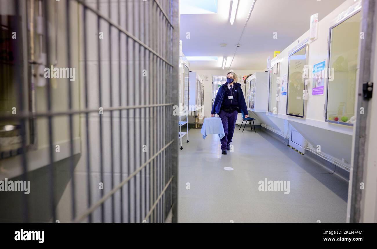 Editorial Use Only A day in the life of RSPCA Inspector Zoe Ballard