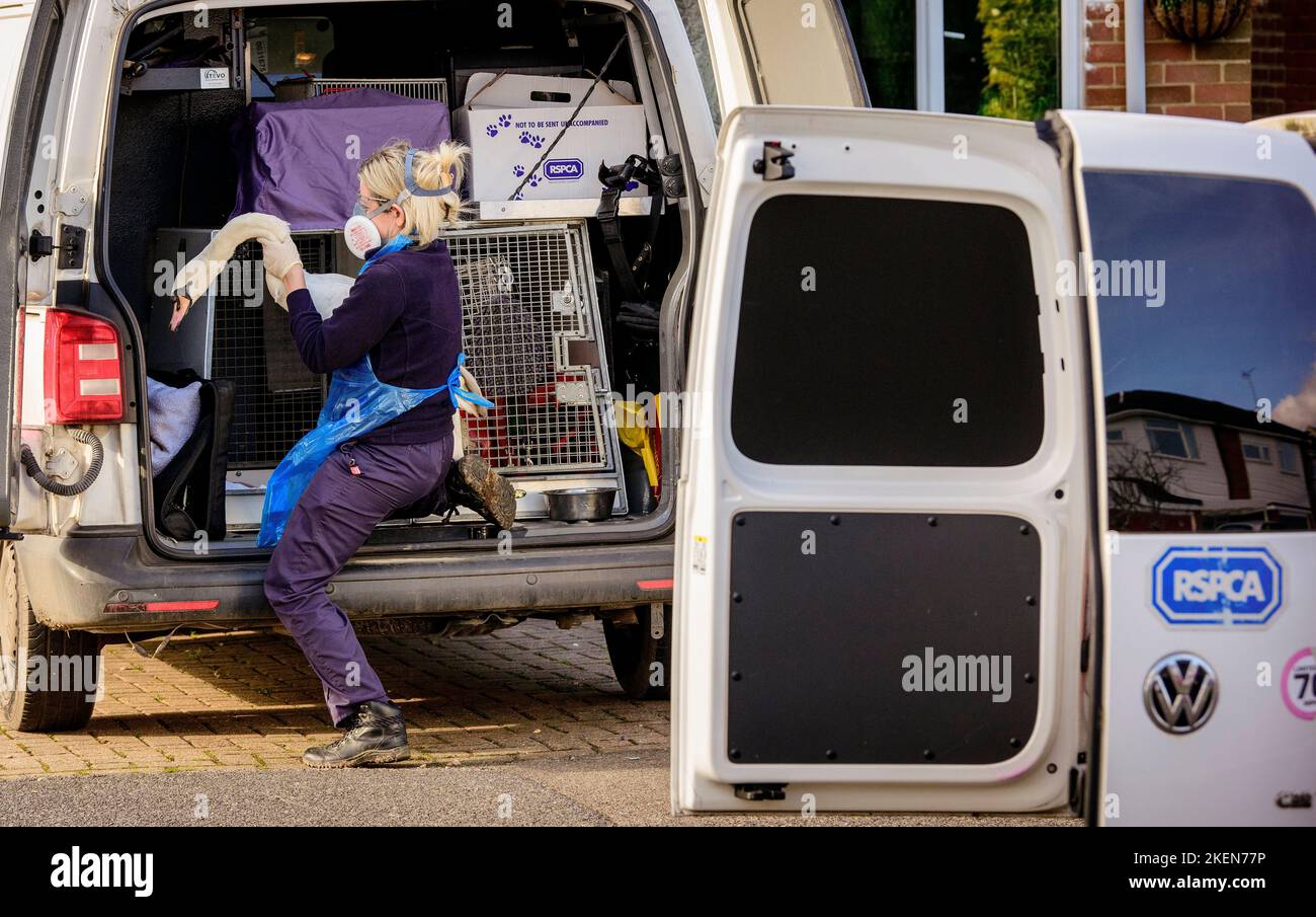 Editorial Use Only A day in the life of RSPCA Inspector Zoe Ballard