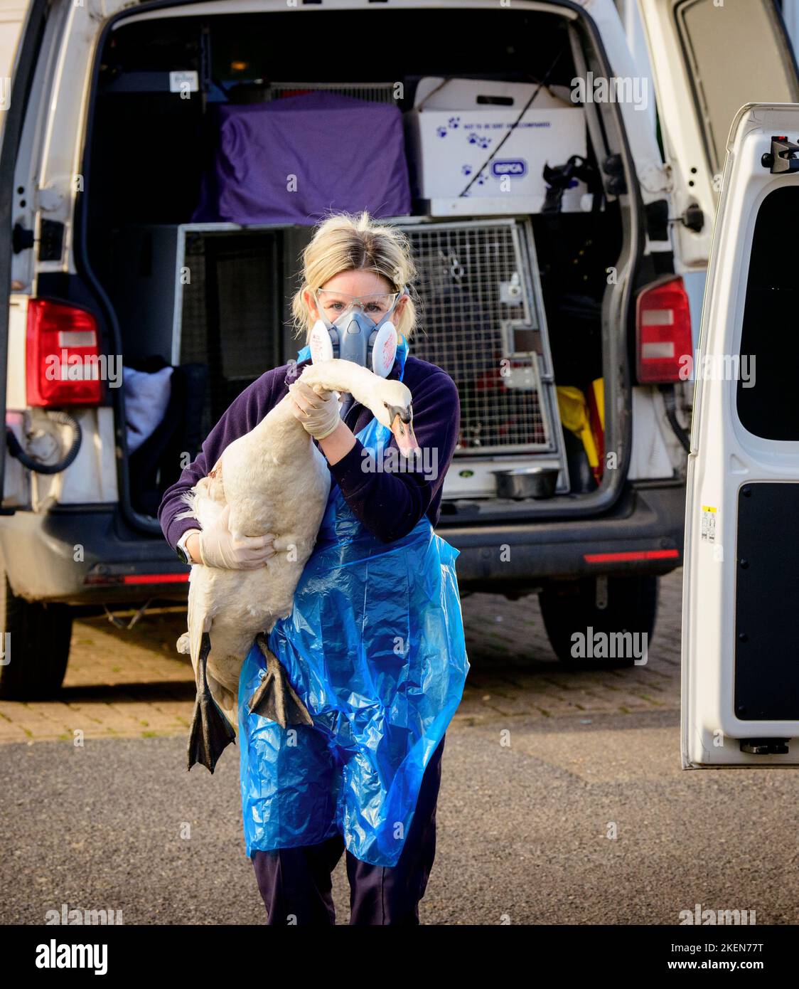 Editorial Use Only - A day in the life of RSPCA Inspector Zoe Ballard ...
