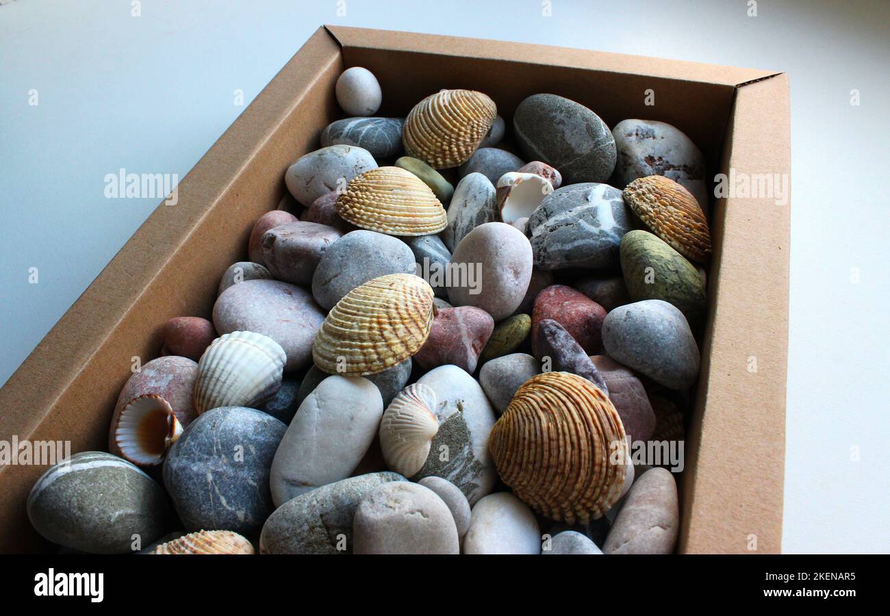 Starfish, seashells and pebbles as decorations on table near white brick  wall Stock Photo - Alamy