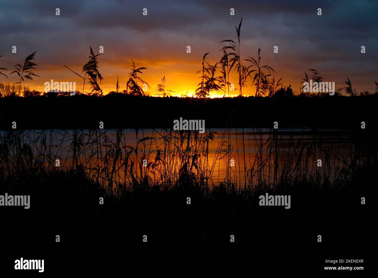 Sunset, Groby Pool, Leicestershire Stock Photo