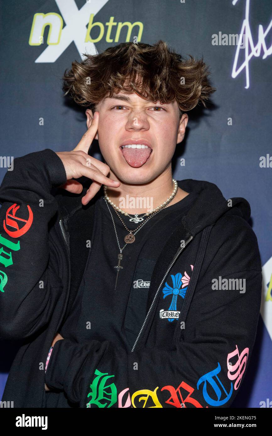 Sherman Oaks, California, USA. 12th Nov, 2022. Ashton Hero attends 